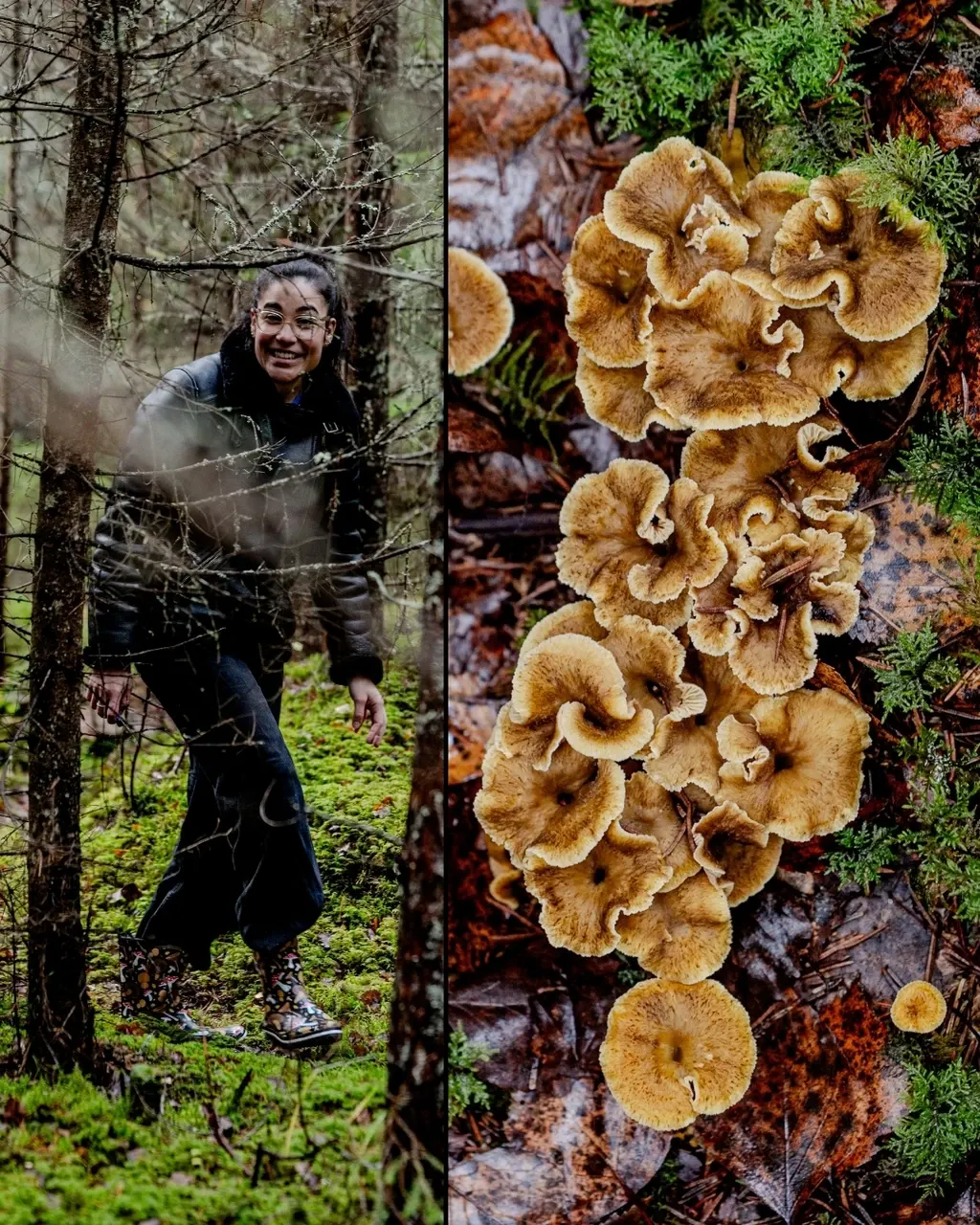 Justine et les champigons